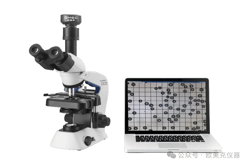 �w���������α������g(sh��)��ˮ��Ϳ�����ܺ�Ϳ�bЧ���ϵđ�(y��ng)��,�L(zh��ng)ɳ�x����˾_�L(zh��ng)ɳ�x��������_���σx���S��